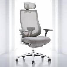 Executive Office Chair Ergonomic Mesh